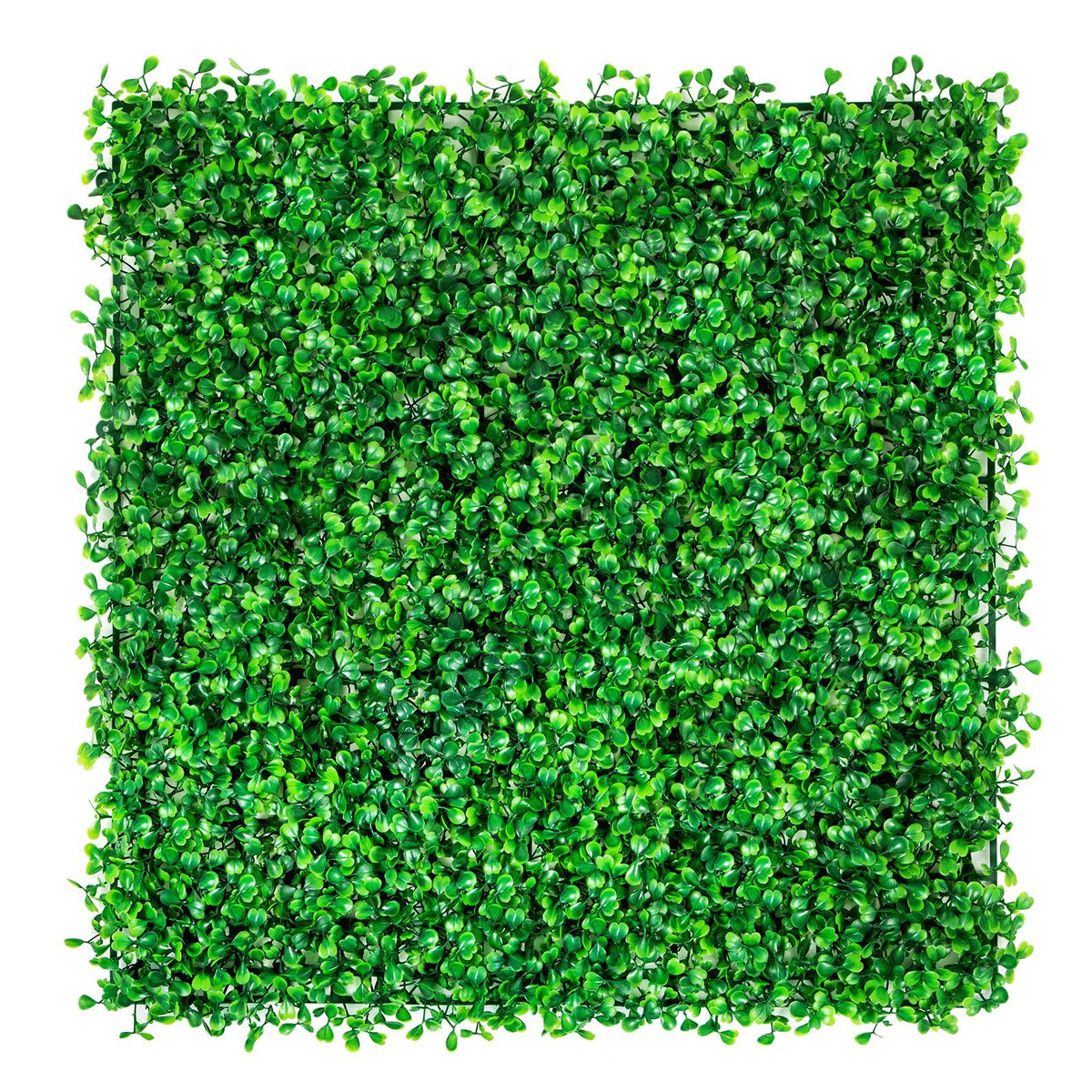 Artificial Boxwood Panel UV 6pcs Boxwood Hedge Wall Panels, Artificial Grass Backdrop Wall 20\" X 20\" 4 cm Green Grass Wall, Fake Hedge for Decor Privacy Fence Indoor, Outdoor Garden Backyard