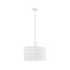 4-Light Glass Drum Shade Chandelier
