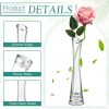 Vase 18 Pcs Clear Tall Glass Bud Vases Bulk Single Stem Flower Glass Vase Skinny Decorative Cylinder Vases for Centerpieces Home