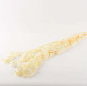 Freshly Preserved Eucalyptus Leaf Bunch (Color: Ivory)