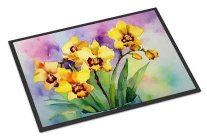 Orchids in Watercolor Doormat Front Door Mat Indoor Outdoor Rugs for Entryway, Non Slip Washable Low Pile, 24H X 36W (Default: Default)